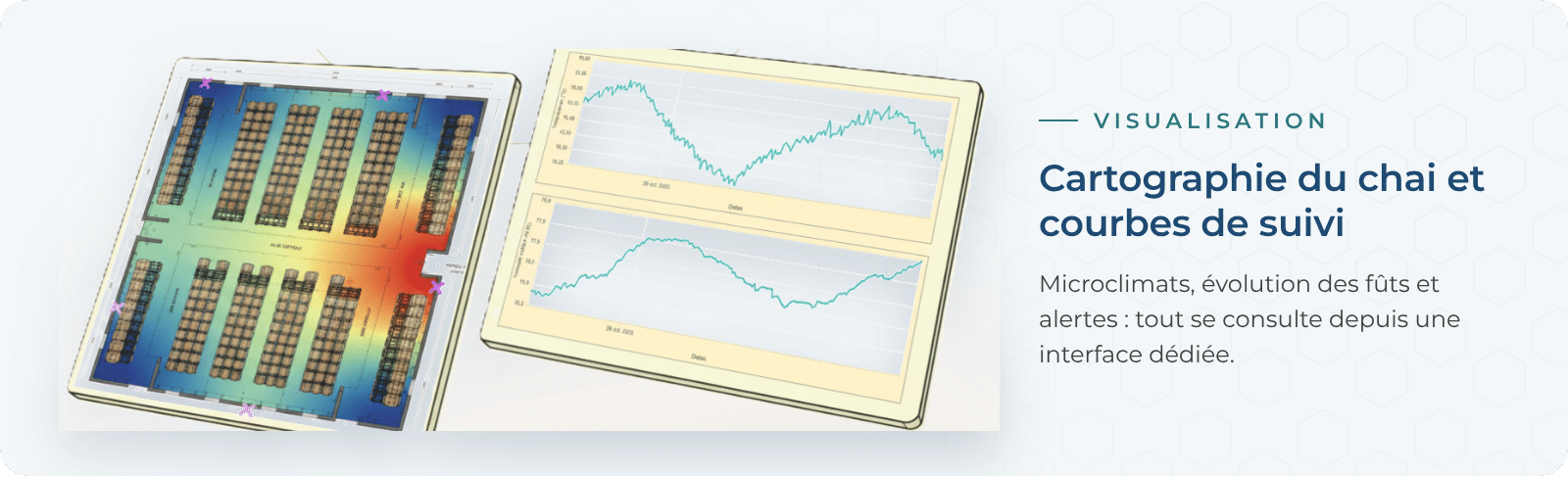 Interface de suivi : cartographie thermique du chai et courbes d'évolution